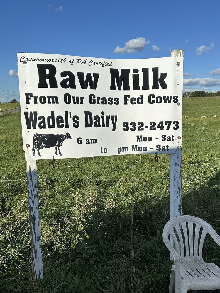 Wadel's Dairy Logo