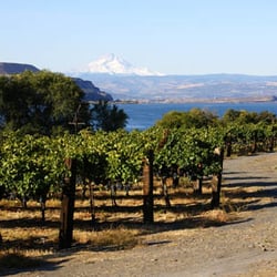Jacob Williams Winery - Amazing views of Mt Hood and the Columbia River