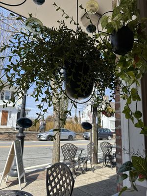 Shayna's Place by null