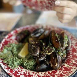 Union River Lobster Pot - Mussel Pot