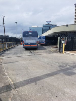 Greyhound Bus Lines