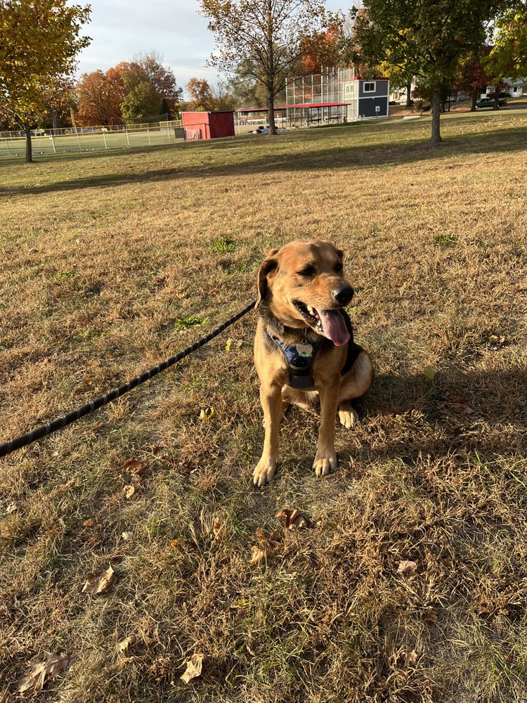 Steph’s Furbabies - pet boarding facility in Fort Wayne, IN