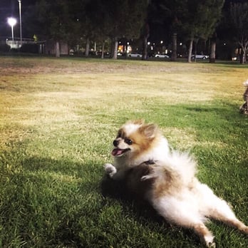 Sunset Park - My dog loves it here... Haha - Dog Parks Near Me - Las Vegas, Nevada