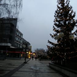 Tamarin - Tikkuraittia.