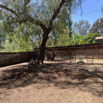 Kings Tree Service Inc. - After the cleanup - Tree Services Near Me - Sylmar, California Kings Tree Service Inc. - After the cleanup - Tree Services Near Me - Sylmar, California