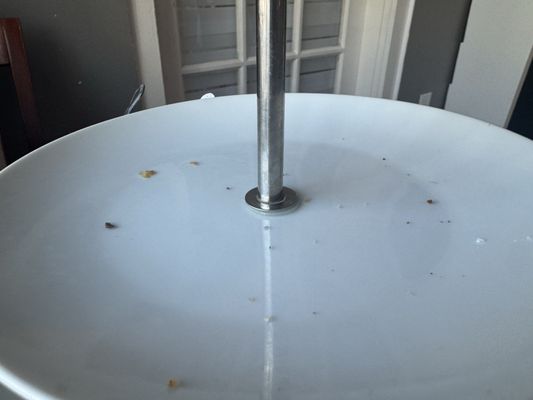 Wenham Tea House by null