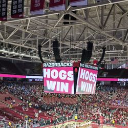 Bud Walton Arena - Lady Razorbacks game!