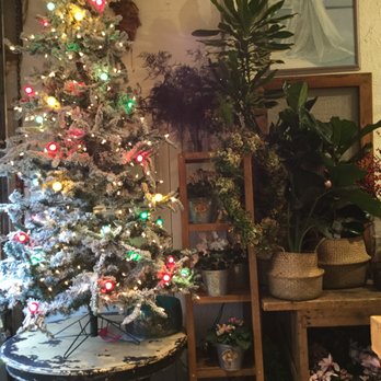Vivio Flower Gallery - Florists Near Me - Port Moody, British Columbia Vivio Flower Gallery - Florists Near Me - Port Moody, British Columbia