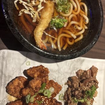 Blufish Sushi & Grill - Udon and appetizers - Sushi Bars Near Me - Torrance, California