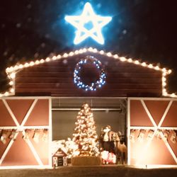 Robbins Ranch Free Christmas Light Drive Thru - Nativity scene in the barn