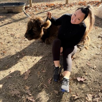 Brandywine Cow Cuddles - Attraction Farms Near Me - Brandywine, Maryland Brandywine Cow Cuddles - Attraction Farms Near Me - Brandywine, Maryland