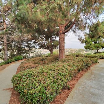 Vista Park - Parks Near Me - Costa Mesa, California Vista Park - Parks Near Me - Costa Mesa, California