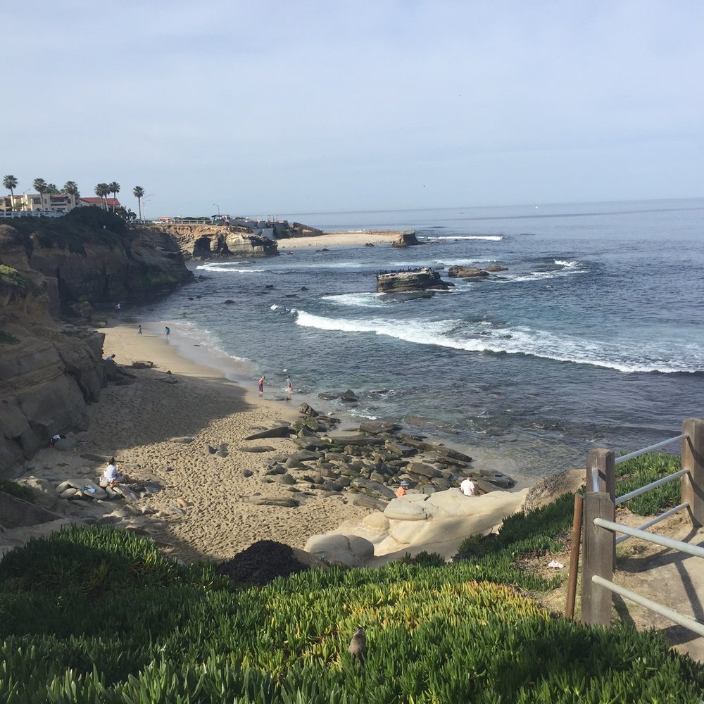 Ellen Browning Scripps Park - Parks Near Me - La Jolla, California Ellen Browning Scripps Park - Parks Near Me - La Jolla, California