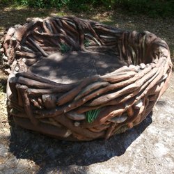 Pterodactyl nest?