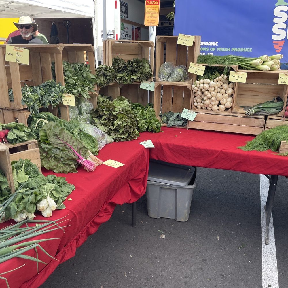 Reston Farmer's Market - So much fresh produce - Farmers Market Near Me - Reston, Virginia Reston Farmer's Market - So much fresh produce - Farmers Market Near Me - Reston, Virginia