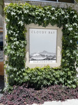 Cloudy Bay Vineyards by null