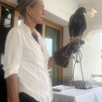 Hotel Danieli, Venice - The boss bird - Hotels Near Me - Venezia, VE Hotel Danieli, Venice - The boss bird - Hotels Near Me - Venezia, VE