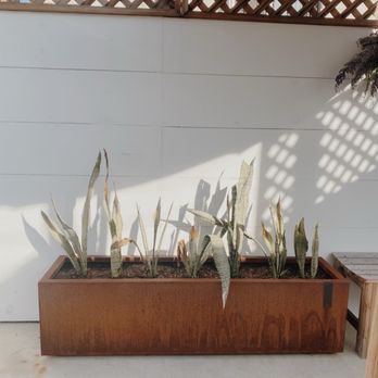 Communal - Outside patio - Coffee & Tea Near Me - San Diego, California Communal - Outside patio - Coffee & Tea Near Me - San Diego, California