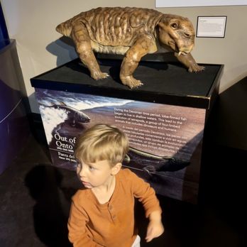 San Bernardino County Museum - This area had prehistoric animals, he liked this area a lot. - Museums Near Me - Redlands, California San Bernardino County Museum - This area had prehistoric animals, he liked this area a lot. - Museums Near Me - Redlands, California