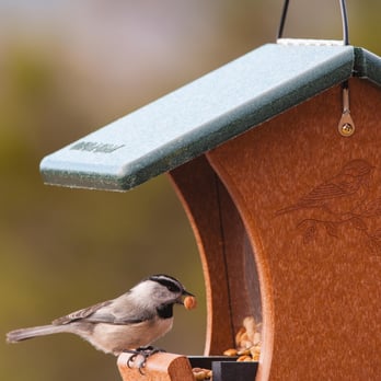 Wild Birds Unlimited - Bird Shops Near Me - Corvallis, Oregon Wild Birds Unlimited - Bird Shops Near Me - Corvallis, Oregon
