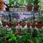 Photo of Passion Florist