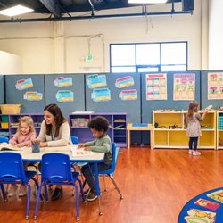 Tulip Kids Academy