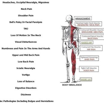 Atlas Chiropractic Office - 333 Bishops Way Suite 144 Brookfield, WI 53005 (Arbor Terrace) Phone:  262-782-8077  Fax:  262-782-8689 - Chiropractors Near Me - Brookfield, Wisconsin