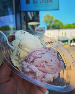 Mount Desert Island Ice Cream by null