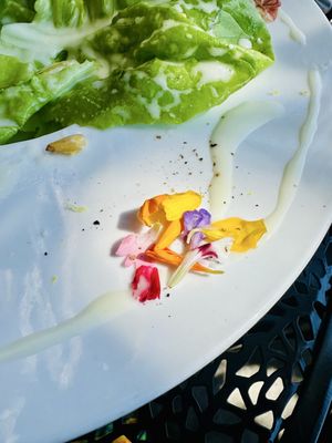 Belotti Bottega by null