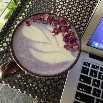 Parlor Public House - Butterfly Tea Latte - Coffee & Tea Near Me - Indianapolis, Indiana Parlor Public House - Butterfly Tea Latte - Coffee & Tea Near Me - Indianapolis, Indiana