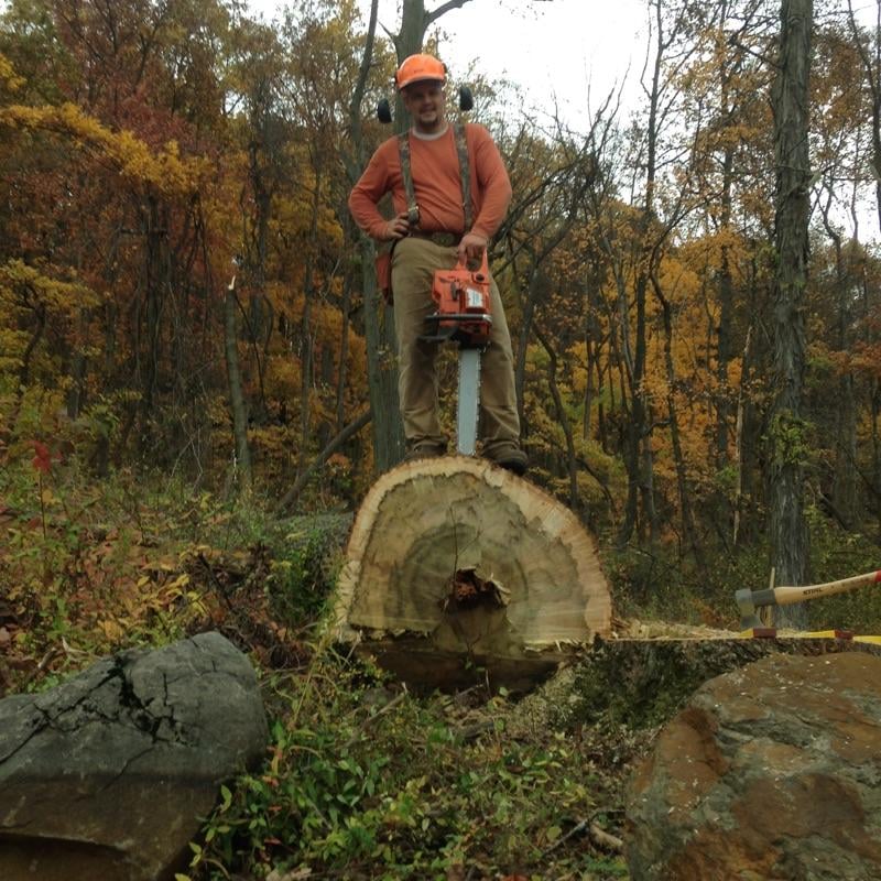 Boisseau  Tree Service - tree service in Milford, NJ