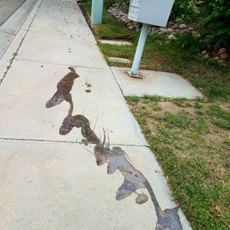 Oil spilled everywhere, they took off!!