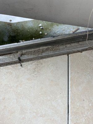 Bluewater Resort by null