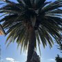 Photo of Kelly's Tree Service