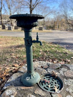 Forest Hills Cemetery by null