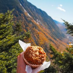 Old Village Bakery - Took my apple cranberry muffin on my hike!