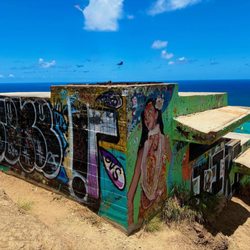 Escape Waikiki Tours