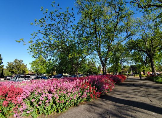 Shinn Historical Park and Arboretum by null