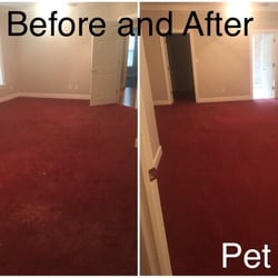 The Cleaning Ladies - Carpet with Deep embedded DOG HAIR!!