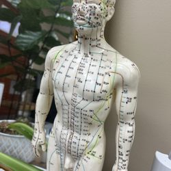 White Lotus Wellness