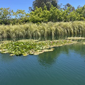 Cornerstone - Venues & Event Spaces Near Me - Sonoma, California Cornerstone - Venues & Event Spaces Near Me - Sonoma, California