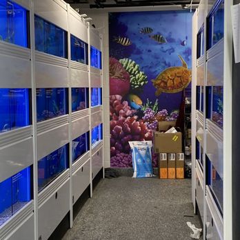 Pet Club - What is looks like now after it has been opened for awhile - Pet Stores Near Me - Colma, California Pet Club - What is looks like now after it has been opened for awhile - Pet Stores Near Me - Colma, California