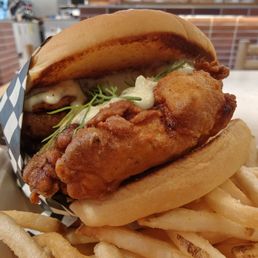 Fried Chicken Sandwich Fried Chicken Sandwich