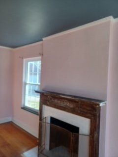Paint Job - Painted ceiling and walls