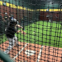 D Bat - Stanton