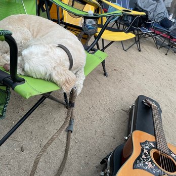 Rivernook Campground - Tired pup. - Campgrounds Near Me - Kernville, California Rivernook Campground - Tired pup. - Campgrounds Near Me - Kernville, California