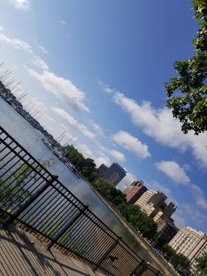 Belmont Harbor by null