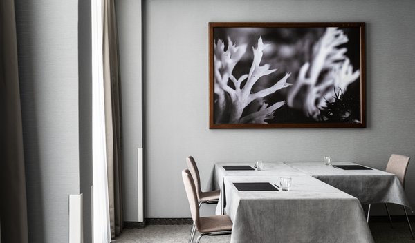AMERON Luzern Hotel Flora by null