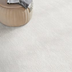 Carpet Discount Warehouse - Stanton Carpet Style Noble Color Alabaster
Soft Plush