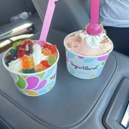Wtf?! This cost $32.95 for these two yogurts! Rip Off Wtf?! This cost $32.95 for these two yogurts! Rip Off